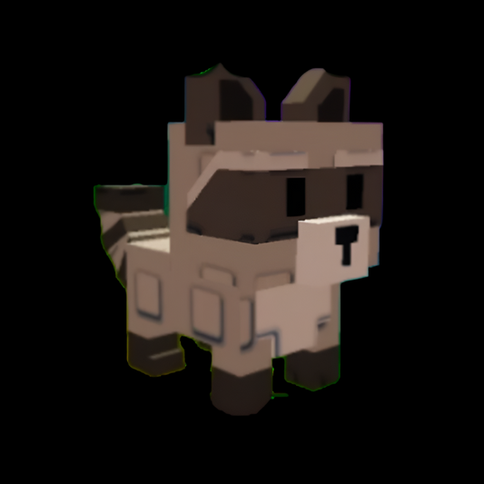 Raccoon